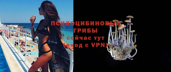 хмурый Бронницы