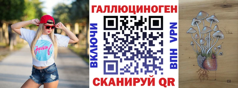 Купить  Аткарск  Галлюциногенные грибы Psilocybine cubensis 